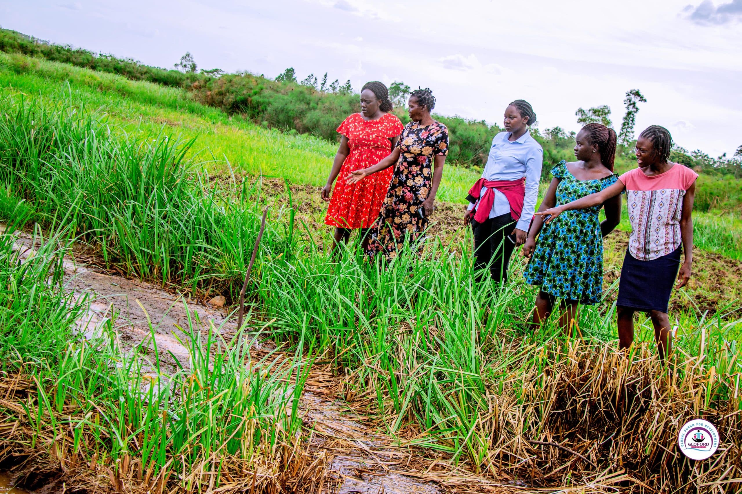 Climate resilience